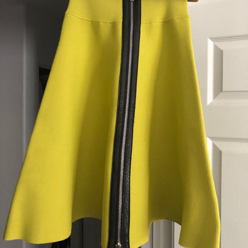 A L C skirt